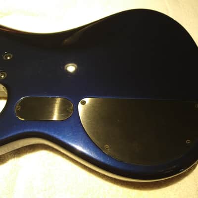 Immagine Peavey  G Bass Metallic Navy Blue - 15