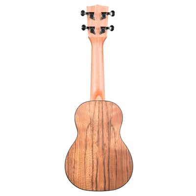 Pacific Walnut Soprano Kala image 4