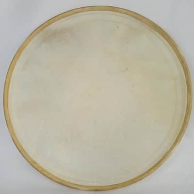 WFL Drum Co/Ludwig 15"Calf Skin Keystone Snare/Tom Head Batter/Resonant 40s USA image 3