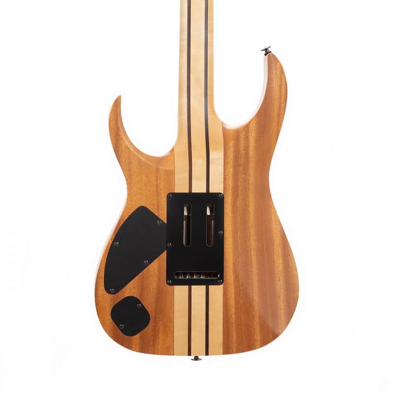Ibanez RGT220H Prestige image 3
