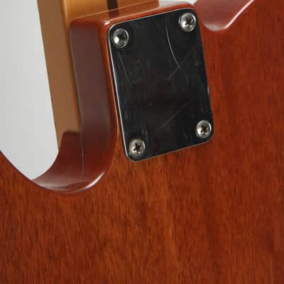 Fender Thinline Telecaster MIM Neck (ca.2020) image 5