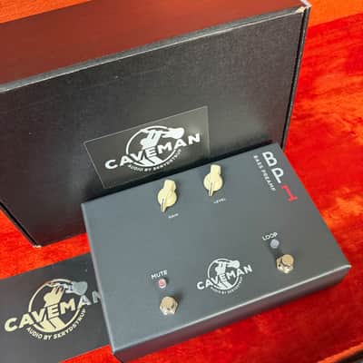 Caveman Audio BP1-W Bass Preamp with Wireless Input image 14