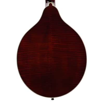 Bourgeois M50-BT Octave Mandolin Aged Tone Adirondack Spruce/European Curly Maple Black (Serial #M2606121) image 3