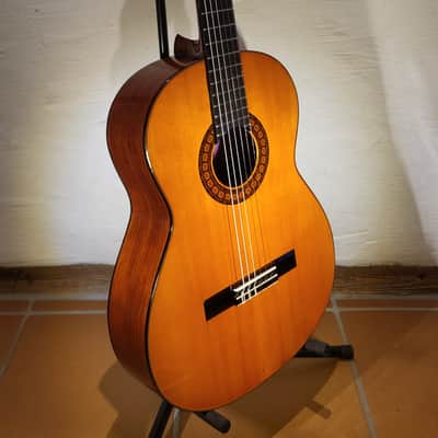 Kasuga G-312 image 12