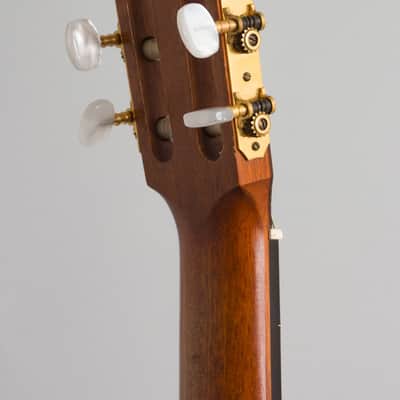 Manuel Velazquez Classical Guitar (1971), Mark Leaf black hard shell case. image 14