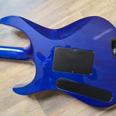 Jackson Pro Chris Broderick image 14