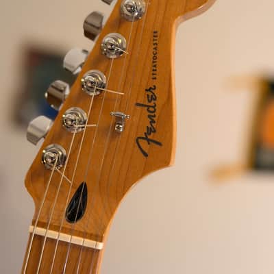 Fender Player Stratocaster with American Performer pickups/Roasted Maple Neck image 10
