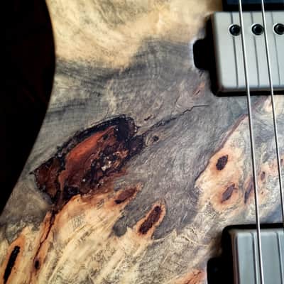 Mayones Duvell Elite 6 2026 Buckeye Burl Master Grade Top Black Limba Body Wenge Neck Ebony Fretboard 16" image 9