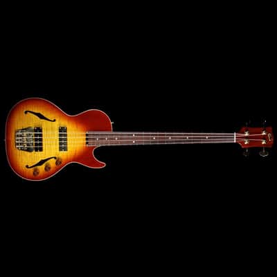 B&G Guitars Big Sister Electric Bass Guitar Tobacco Burst image 9