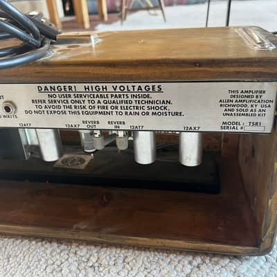 Allen Amplifictation -  Rare 80watt Blackface Twin Reverb Head- Tone Savor image 16