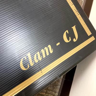 Clam CJ Guitar Travel Case image 6