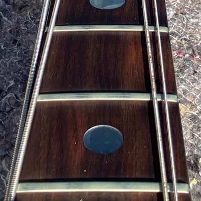 Alembic Exploiter 1983 - Natural image 9