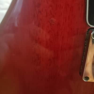Lakland Skyline Decade image 5