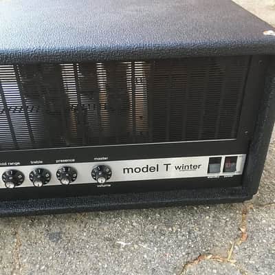 Winter Amps Sunn Model T Clone Handwired version image 8