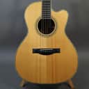 Santa Cruz H A/E 2003 - Brazilian Rosewood + German Spruce
