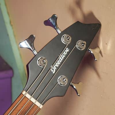2021 Breedlove Discovery S Concert ED Acoustic/Electric Bass Guitar (VIDEO! Fresh Work, Ready) image 3