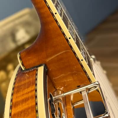 Deering Calico 5-String Banjo Demo image 18