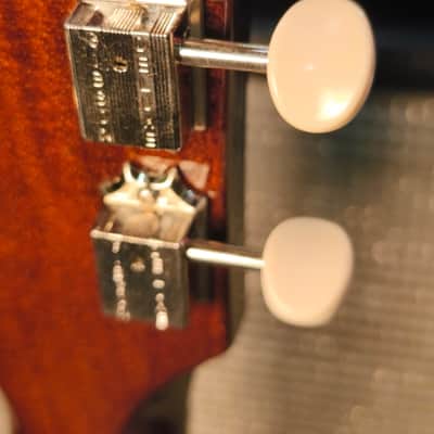 Gibson Les Paul Junior Double Cutaway 2024 Dark Walnut image 23