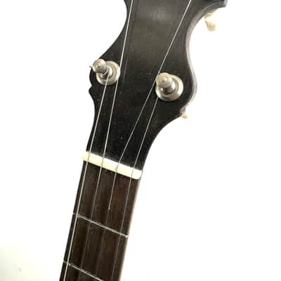 Vega vintage tenor cello banjo 4 strings with painted head New York made Style N “the Tabby” 1924 - Wood and half skin image 4