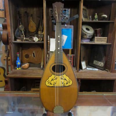 Unlabeled Bowlback Mandolin Early 1900's image 1