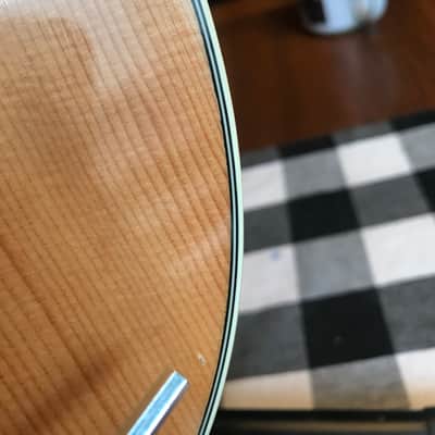Alvarez AG60CE natural beautiful with B-band SYS550 under saddle transducer image 12