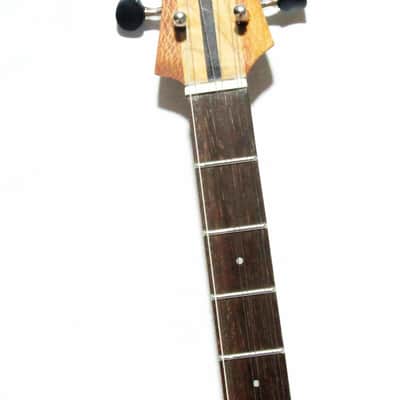 Acoustic Balkan Tambura Musical Instrument image 5