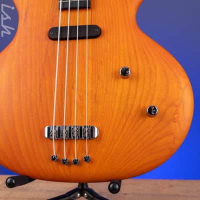 2021 Ritter Princess Isabella Bass Orange Honey image 5