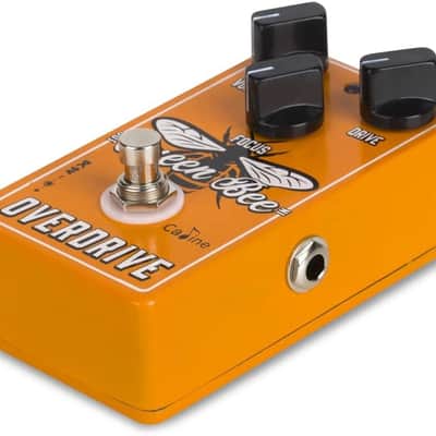 Caline CP-503 Queen Bee Overdrive 2024 - Orange image 3