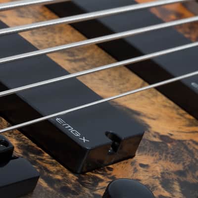 Schecter Riot-5 Bass Inferno Burst image 6