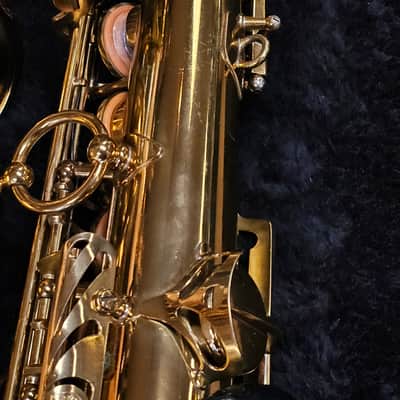 Selmer Mark VI Alto Saxophone 1971 - M184xxx image 17