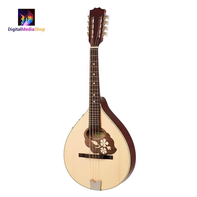 Mandola Mastery Awaits