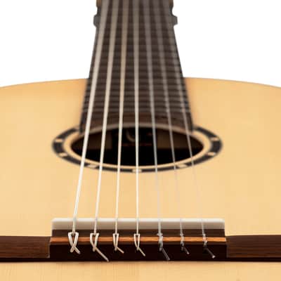Ortega R133-7 Family Series Pro Solid Spruce Top Nato Neck Nylon 7-String Classical Acoustic Guitar w/Gig Bag image 16