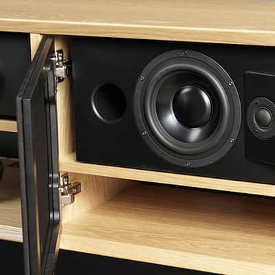 LYNGDORF CS-1 - In-Cabinet Loudspeakers (Pair) - NEW! image 5