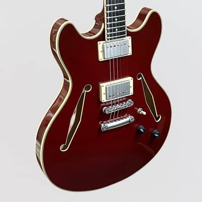 D'Angelico Excel DC Tour Collection Semi Hollowbody Electric Guitar - Solid Wine image 2