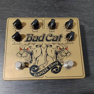 Bad Cat Siamese Drive V1 | Reverb