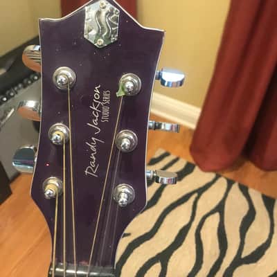 Randy Jackson Studio Series  Glossy, Dark Purple with sparkles image 2