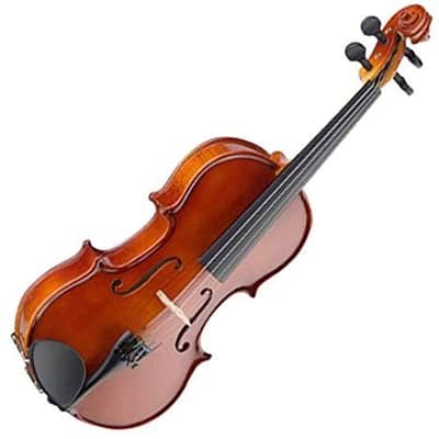 Stagg Model VN-1/8 - 1/8 Size Solid Maple Violin with case, bow and accessories image 8