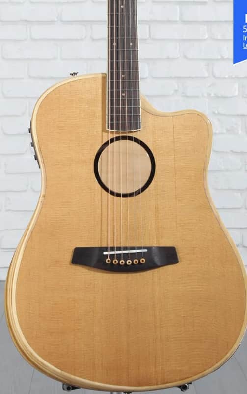 LR Baggs AEG-1