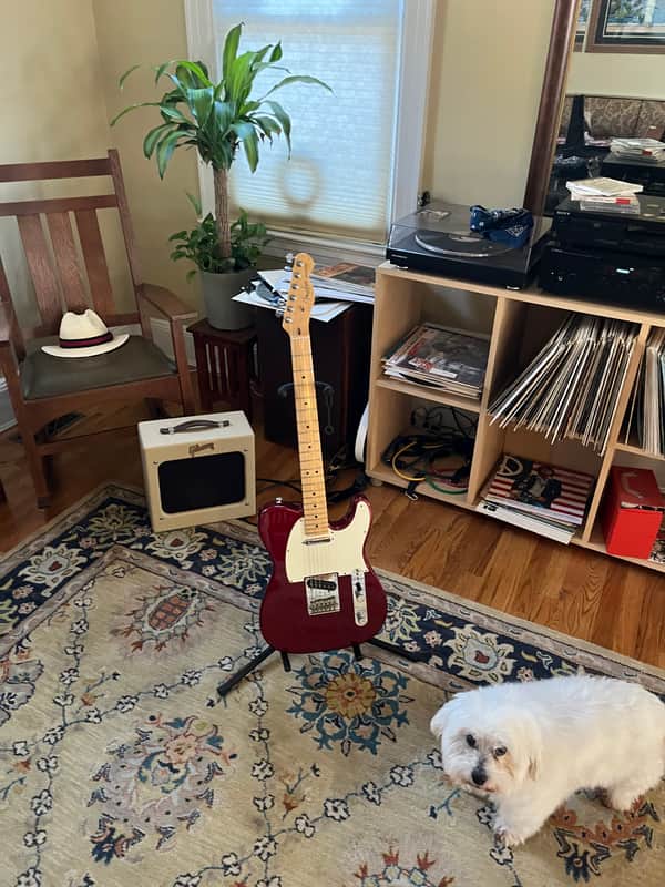 Fender American Standard Telecaster 2008 - 2016 | Reverb