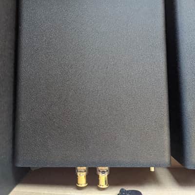 Bel Canto Ref 500M Mono Amplifier Pair - Excellent Condition image 6