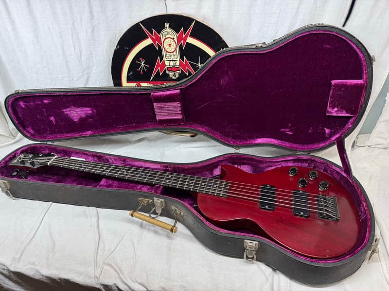 Gibson LPB-5 lpb5 Les Paul Bass 5-string Bass with Case 1993 image 1