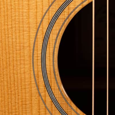 Brand New Boucher Bluegrass Goose BG-42T-G Dreadnaught with Torrefied Adirondack / Torrefied Mahogany! image 12