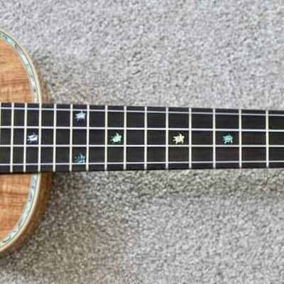 Big Island Ukulele Co Solid Golden Koa Concert Ukulele KX-CTG  W/ Carrying Case image 12
