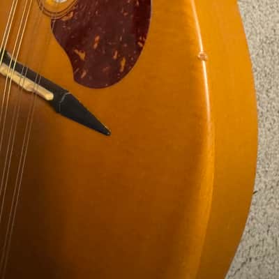 Seagull S8 Mandolin 2010s - Natural image 5