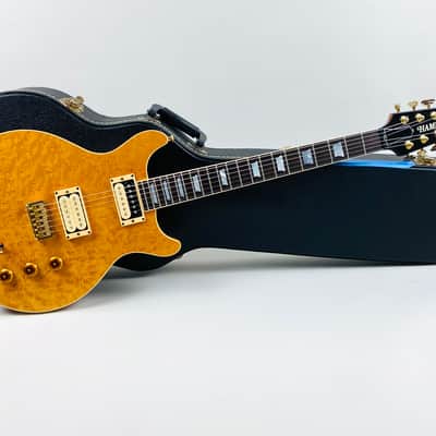 Hamer Sunburst: One of a Kind: Hamer Fan Club. 2001 Natural image 10