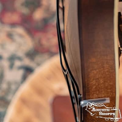 Tone-Gard Mandolin - Vintage image 10