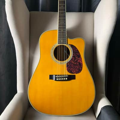 Martin Trey Anastasio Signature Edition DC Fishman Ellipse image 3