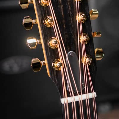 Taylor 260ce-K DLX Bajo Quinto Acoustic/Electric Guitar with Hardshell Case image 5