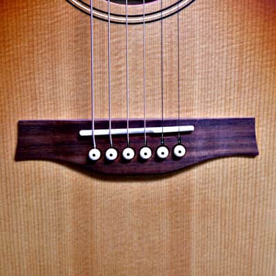 Seagull Entourage Dreadnought - Autumn Burst image 7