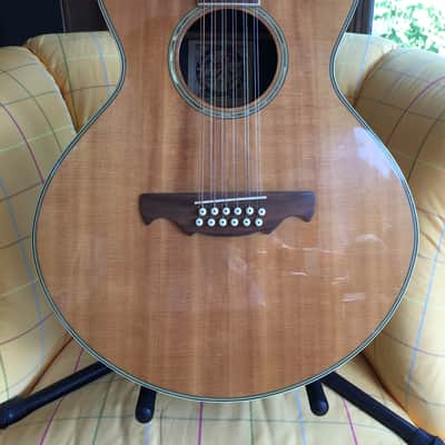 Alvarez 2551 12 String Limited Edition Silver Anniversary Model Gibson L-1 L-00 l-2 look-alike 5037 image 7